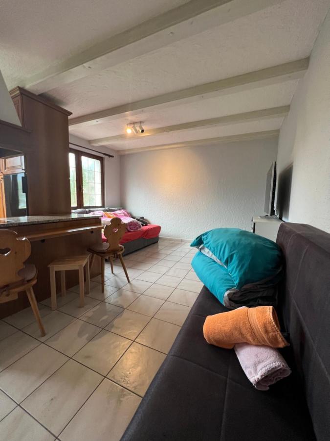 Tiny Apartment With Amazing View, Garden & Terras Schattdorf Εξωτερικό φωτογραφία