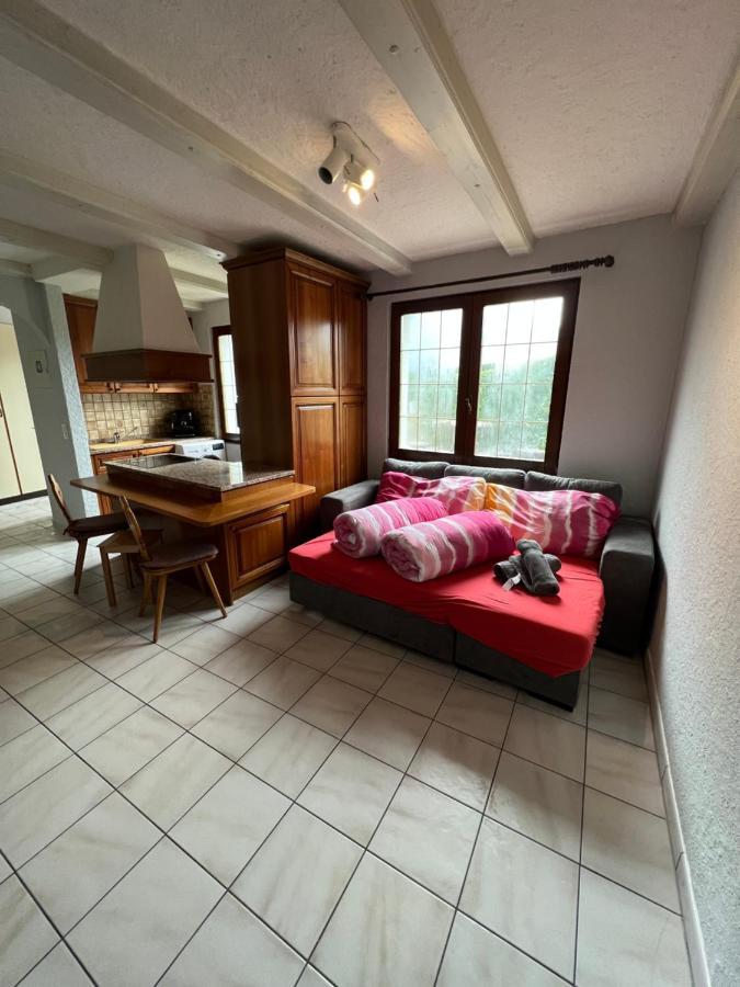 Tiny Apartment With Amazing View, Garden & Terras Schattdorf Εξωτερικό φωτογραφία